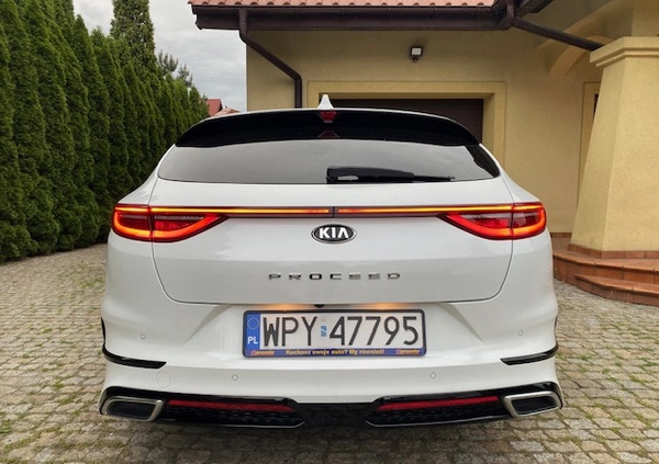 Kia Pro_cee'd cena 84900 przebieg: 90000, rok produkcji 2020 z Opoczno małe 407